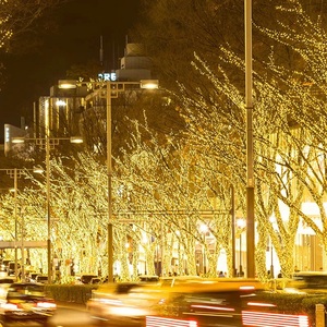 春节街道亮化LED工程灯串